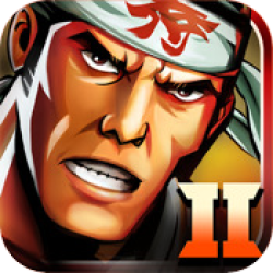 Samurai II: Vengeance Guide