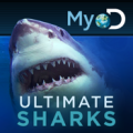 ‘Ultimate Sharks’ Review: The Ultimate Shark Week Companion