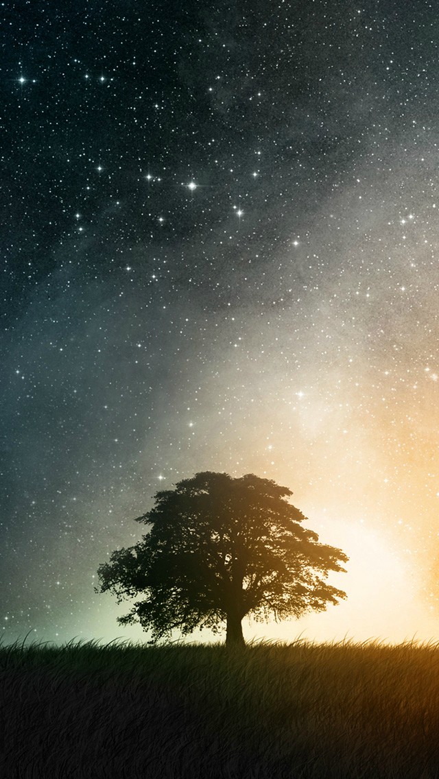 50 iPhone 5 Wallpapers For Your New Phone | Tap Gamers 50 iPhone 5 Wallpapers For Your New Phone | Tap Gamers